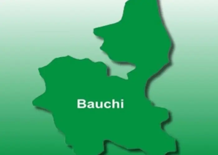 Man Arrested For Fraud In Bauchi