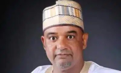 PDP To Get Damagum's Replacement From North-Central In November NEC Meeting - Party Chieftain