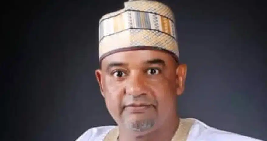 PDP To Get Damagum's Replacement From North-Central In November NEC Meeting - Party Chieftain