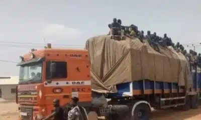 FRSC Confiscates Trailers Conveying Passengers Seized For Violation