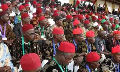 Igbos Have The Right To Secede – IBN