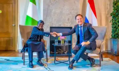 Details Of Tinubu's Meeting With Dutch PM Emerge