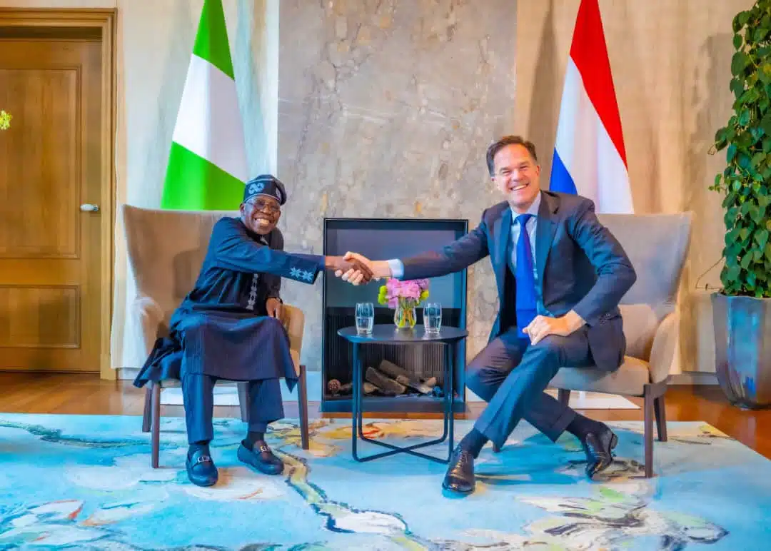 Details Of Tinubu's Meeting With Dutch PM Emerge