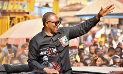 2027 Election: NLC Colluding With FG To Demarket Peter Obi, Says LP
