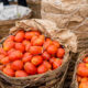 Tomato Ebola: Agriculture Minister Gives Reason For Tomato Scarcity