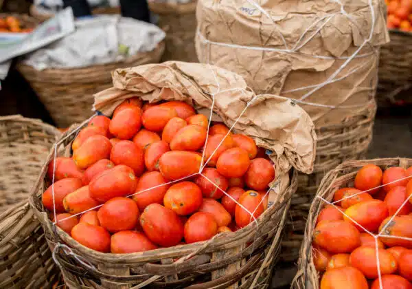 Tomato Ebola: Agriculture Minister Gives Reason For Tomato Scarcity