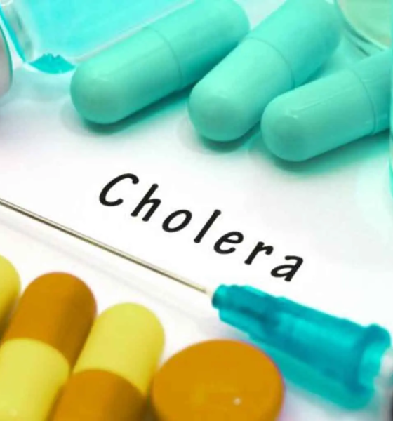 Cholera: FG Provides Safety Measures 
