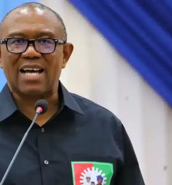 Increase In Fuel Price Insensitive - Peter Obi