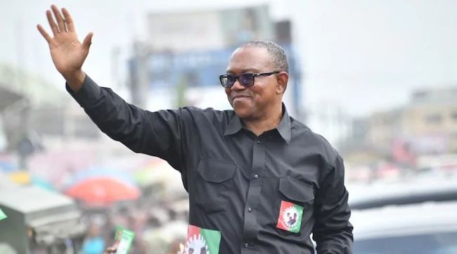 We'll Fix Our Party, So We Won't Lose Peter Obi To Merger - LP