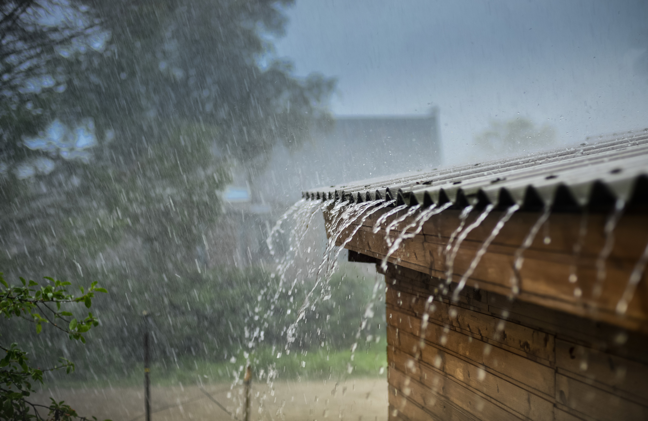 Kano Government Warns Against Drinking Rainwater To Prevent Cholera Spread