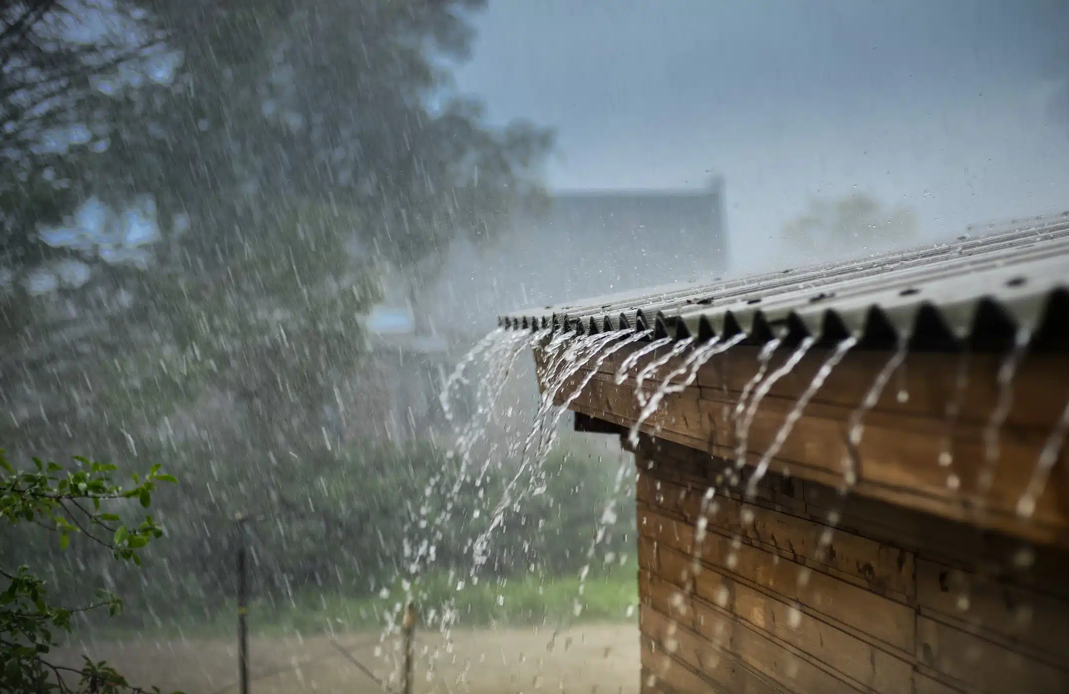 Kano Government Warns Against Drinking Rainwater To Prevent Cholera Spread