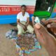 Security Arrests Female Supplier Of Ammunition In Katsina 