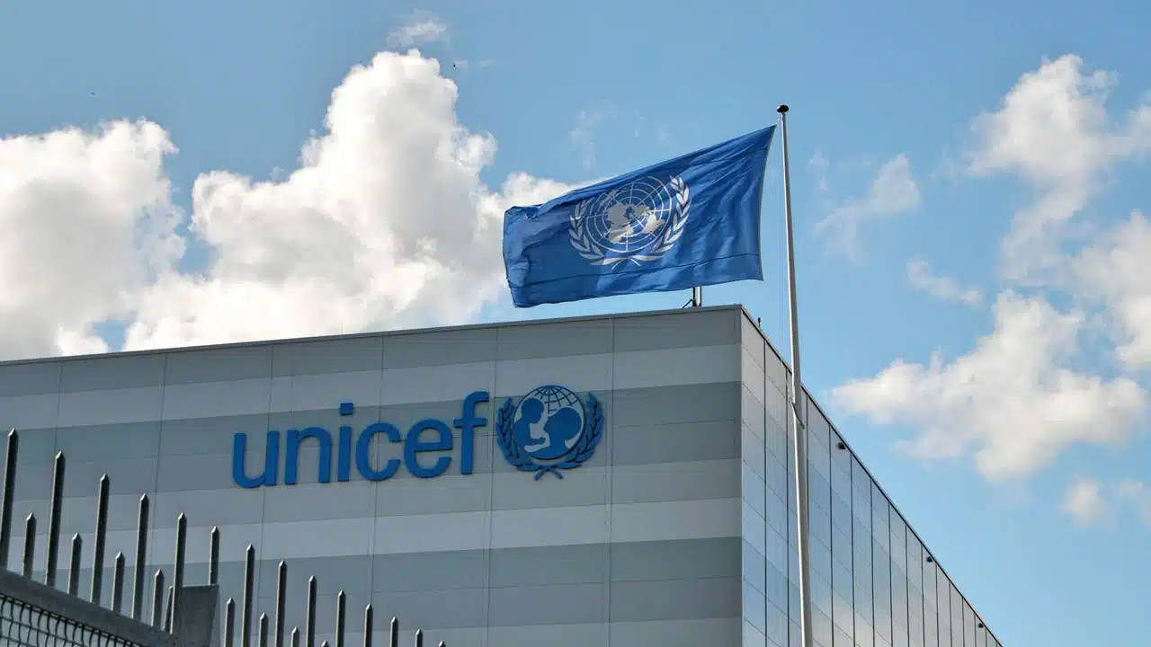 UNICEF Advocates Primary Healthcare Systems To Tackle Diseases