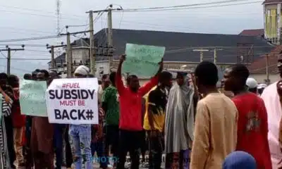 Niger Youths Defy Governor, Launch Early Protests