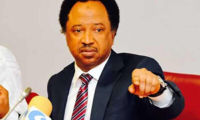 Wike's Rise To Power Made Possible By My Struggles - Shehu Sani