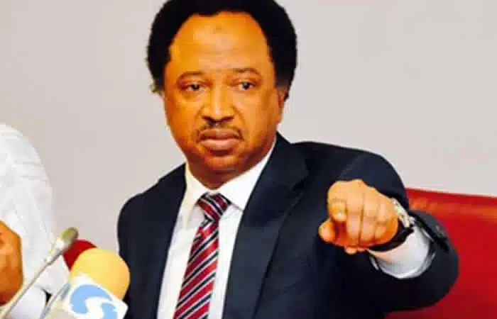 'It's A Skit' — Shehu Sani Reacts To FG's Hands-Off Approach On Dangote-NNPC Price Saga