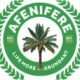 Afenifere Strengthens Leadership With New Appointments