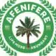 Afenifere Strengthens Leadership With New Appointments