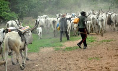 MACBAN Takes Measures To Solve Farmers-Herders Clashes In Kwara