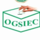 OGSIEC Gets Green Light For New Election Guidelines