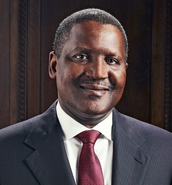 Borno Flood: Dangote Donates N1.5bn, NEMA To Collaborate With State Govt