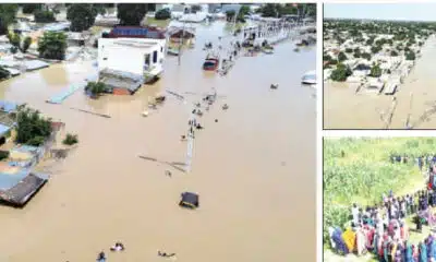 US Lends Support To Flood Victims In Borno 