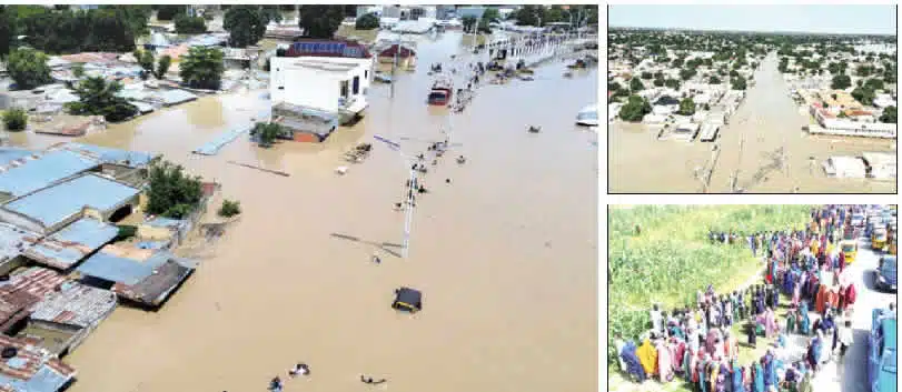 US Lends Support To Flood Victims In Borno 