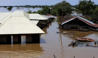 Flood Ravages Yobe Communities, Kills 4, Injures 43 - SEMA