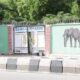 Borno Flood: Wild Animals That Escaped From Zoo, Threat To Humans - CSOs To Government