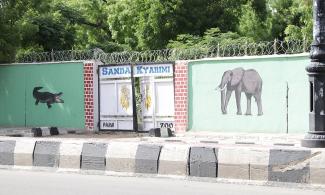 Borno Flood: Wild Animals That Escaped From Zoo, Threat To Humans - CSOs To Government