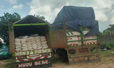 NDLEA Seizes N2 Billion Worth Of Tramadol On Gombe-Bauchi Expressway