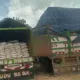 NDLEA Seizes N2 Billion Worth Of Tramadol On Gombe-Bauchi Expressway