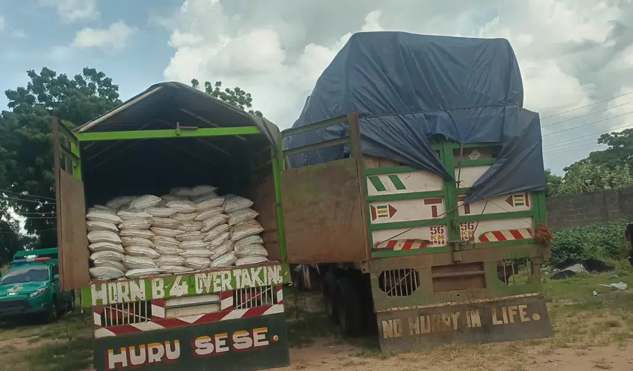 NDLEA Seizes N2 Billion Worth Of Tramadol On Gombe-Bauchi Expressway