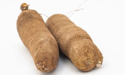 Man Bags Six Months In Prison For Stealing Three Tubers Of Yam In Osun