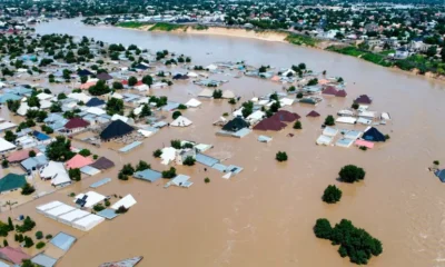 Flood: Borno Gets Aid From Swiss Govt 