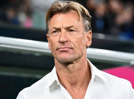 Hervé Renard Reveals He Was Close To Taking Nigeria’s Super Eagles Job