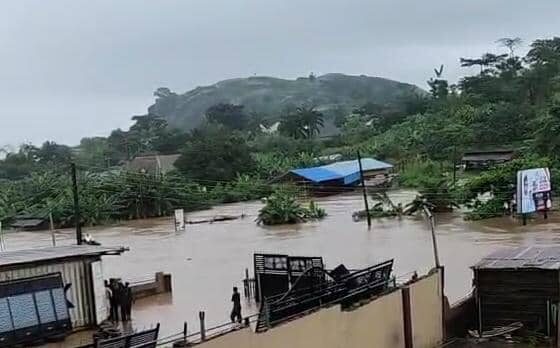 Organisation Donates $1.8m To Flood Victims In Nigeria 