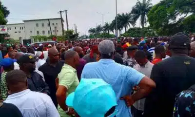 Rivers LG Election: Pro-Wike Supporters Stage Peaceful Protest In Port Harcourt